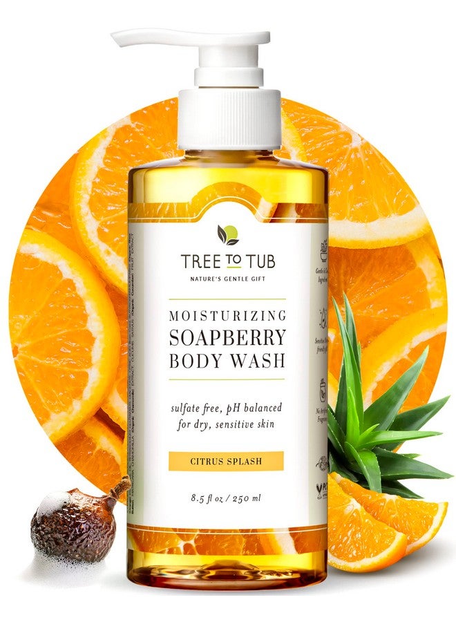 Tree to Tub غسول جسم بالحمضيات للبشرة الجافة والبشرة الحساسة، جل استحمام متوازن الحموضة، صابون جسم خالي من الكبريتات للنساء والرجال مع زبدة الشيا العضوية، الألوة فيرا، صابون طبيعي، برائحة البرتقال - Image 1