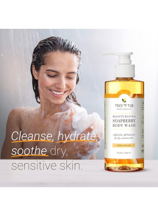 Tree to Tub غسول جسم بالحمضيات للبشرة الجافة والبشرة الحساسة، جل استحمام متوازن الحموضة، صابون جسم خالي من الكبريتات للنساء والرجال مع زبدة الشيا العضوية، الألوة فيرا، صابون طبيعي، برائحة البرتقال - Image 3