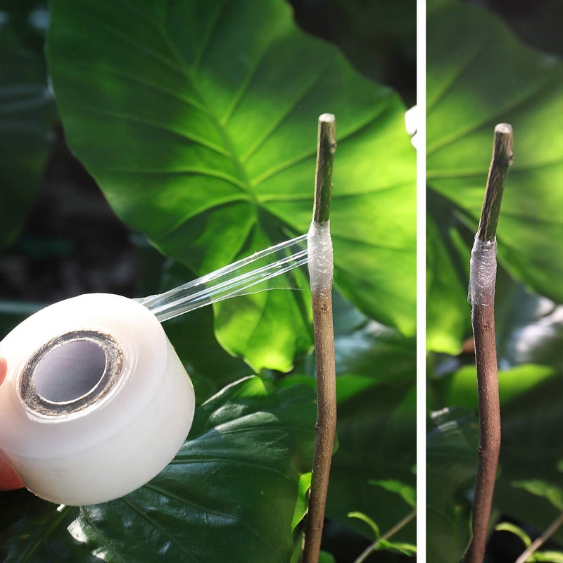 NAYE Grafting Tape for Fruit Trees,3 Pcs Stretchable Floristry Film,3 Color with Various Elasticity,Plants Repair Budding Tape - Image 4