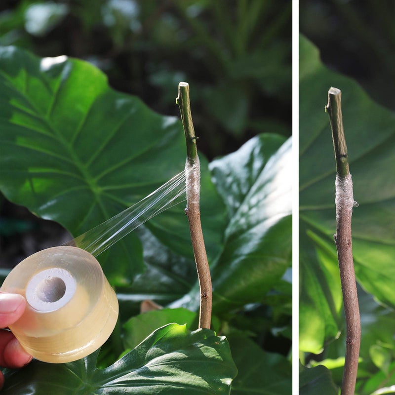 NAYE Grafting Tape for Fruit Trees,3 Pcs Stretchable Floristry Film,3 Color with Various Elasticity,Plants Repair Budding Tape - Image 5