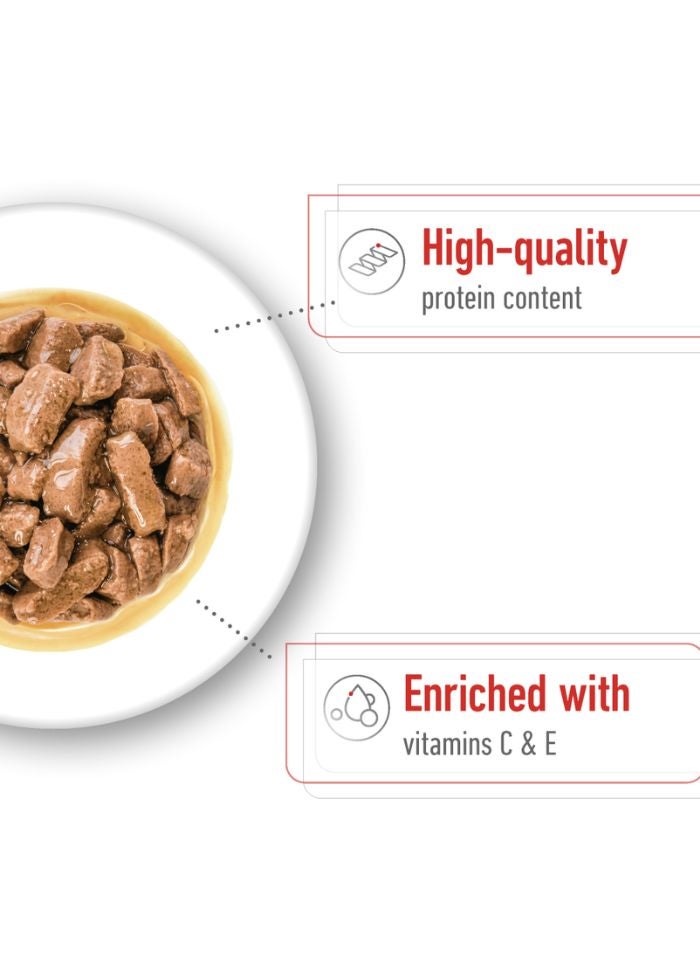 ROYAL CANIN Size Health Nutrition Medium Adult (WET FOOD - Pouches) 10 x 140g - Image 2
