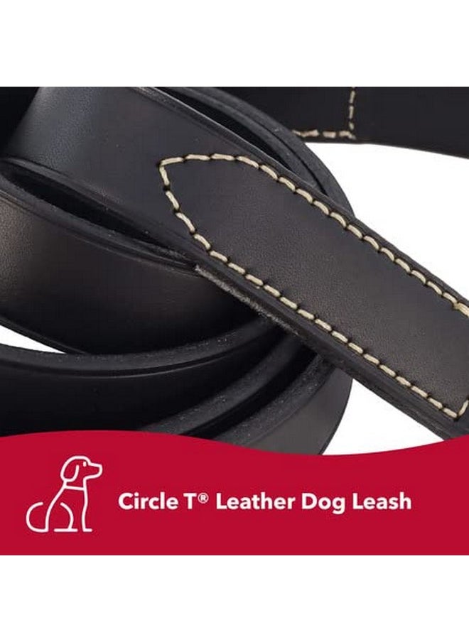 Coastal Pet Circle T Oak Tanned Leather Dog Leash - Durable Dog Leash Perfect for Leash Training - Comfortable Leash for Puppies & Dogs Made from Full-Grain Leather - Red, 3/8" x 6' - pzsku/Z95A71CBF17A56DA575B3Z/45/_/1737032235/01fb649f-50b8-4987-9d4a-8e4ebcb8ee4a