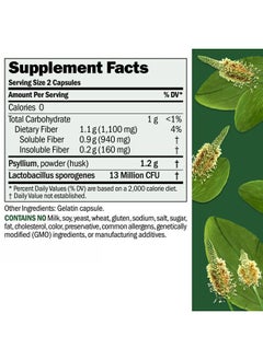 Andrew Lessman Fibermucil 360 Capsules -Psyllium Husk Powder. Gently Promotes Regularity and Digestive Health. Rich in Fiber. Gentle, Easy, Effective. No Additives. Small Easy to Swallow Capsules  - Image 2