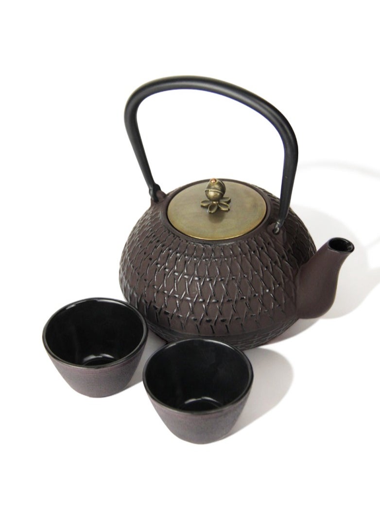 Durable Coated with Enamel Interior Cast Iron Teapot with Stainless Steel Infuser for Brewing Loose Tea Leaf 1.4 Liters Red-Brown w/ 2 cups - pzsku/Z95A793F772715B71D142Z/45/_/1709015554/6a1f39cd-144b-4eb8-bd52-f0deb8af7c76