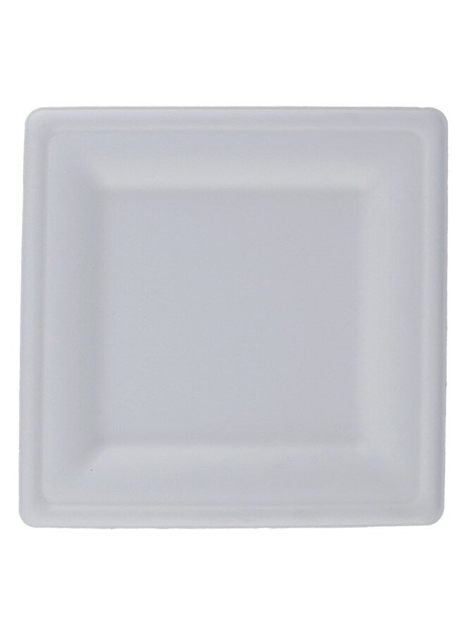 Green Tiger Biodegradable Square Plate - 10 Inch, 10 Pieces