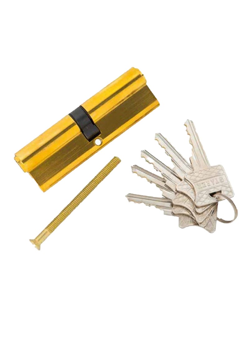 Starex Cylinder Brass 100mm/5 Brass Normal Keys (50+50) Colour Box