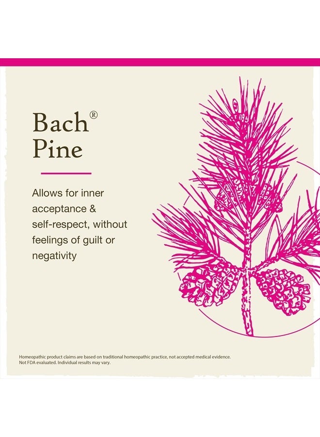 Bach Original Flower Remedies, Pine for Self Respect, Natural Homeopathic Flower Essence, Emotional Wellness and Stress Relief, Holiday Gift for Him or Her, Vegan, 20mL Dropper  - Image 3