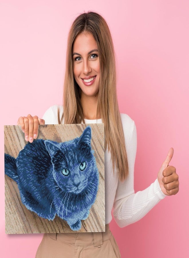 دايموند دوتز مجموعة الرسم بالألماس المخملي من دايموند دوتز للبالغين - مجموعة فنون الألماس، مجموعة حرفية إبداعية مريحة مع أحجار دوتز الكريمة 11.7 × 14.8 - Image 4