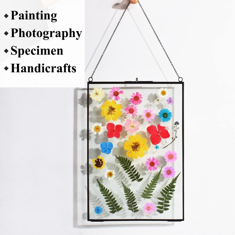 TLBTEK 8X12inch Picture Frames Brass Hanging Double Glass Frame for Pressed Flowers Clear DIY Vintage Artwork Display Frame Wall Mounted Photos Frame (8x12 Inch-Vertical(Black)) - Image 2