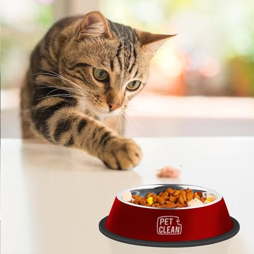 Pet Clean Stainless Steel Dog Bowl, Medium Dog Food Bowl with Rubber Base for Dogs & Cats, 700ml (Set of 2, Red) - Image 3