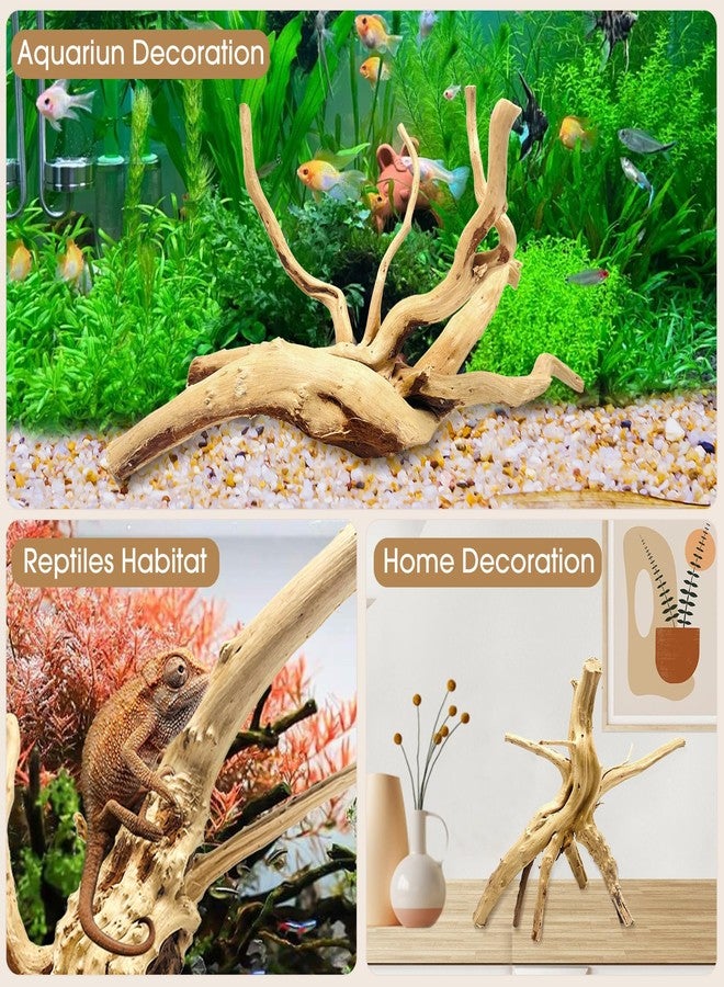 Jorewood Natural Small Spiderwood Driftwood for Aquarium Decor Rptile Fish Tank Decoration Assort Branch 4-7'' 8 Pcs - Image 4