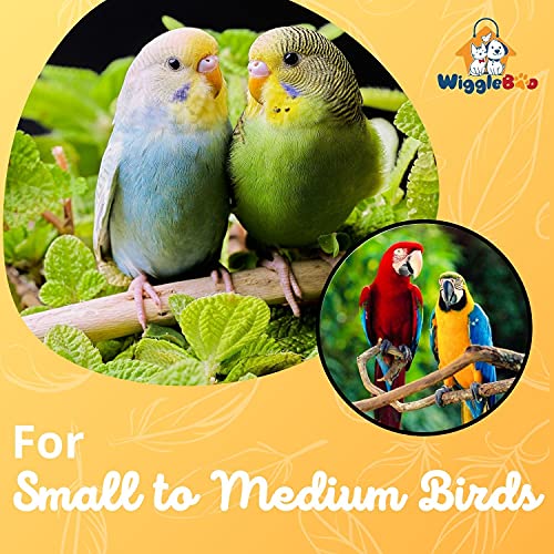 WiggleBoo 24cm Natural Wooden 5 Step Ladder Bird Toy | Climbing, Exercise & Fun | for Small & Medium Birds - Image 3