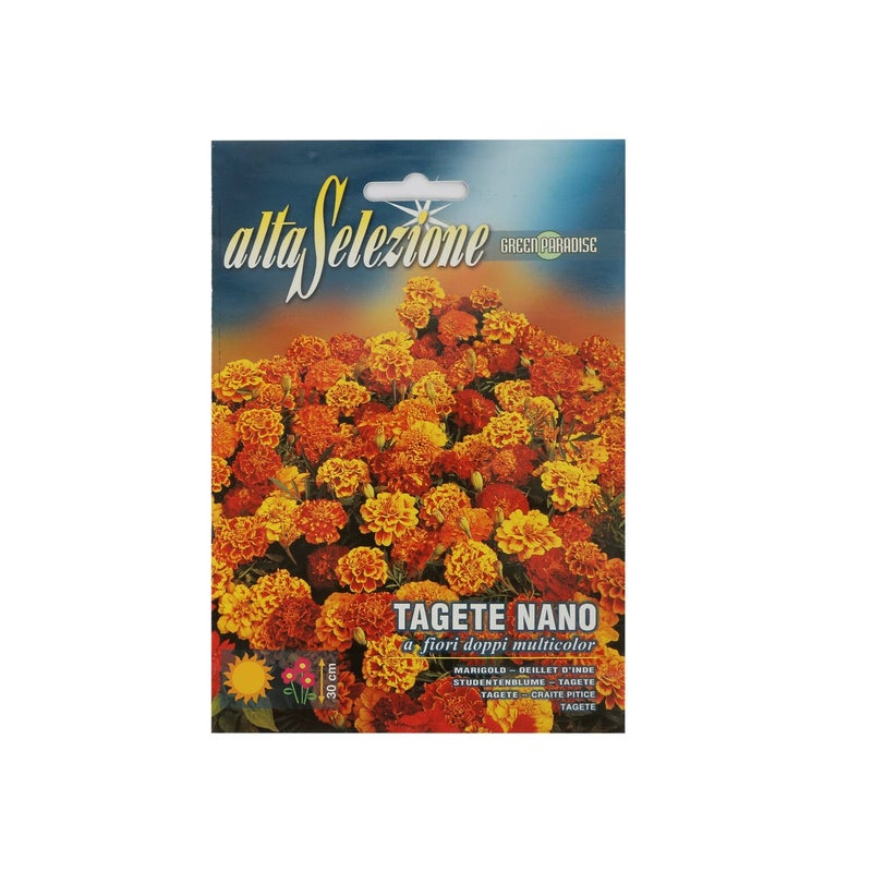 Alta Tagete Dwarf Mixed Seeds AFS 353/3