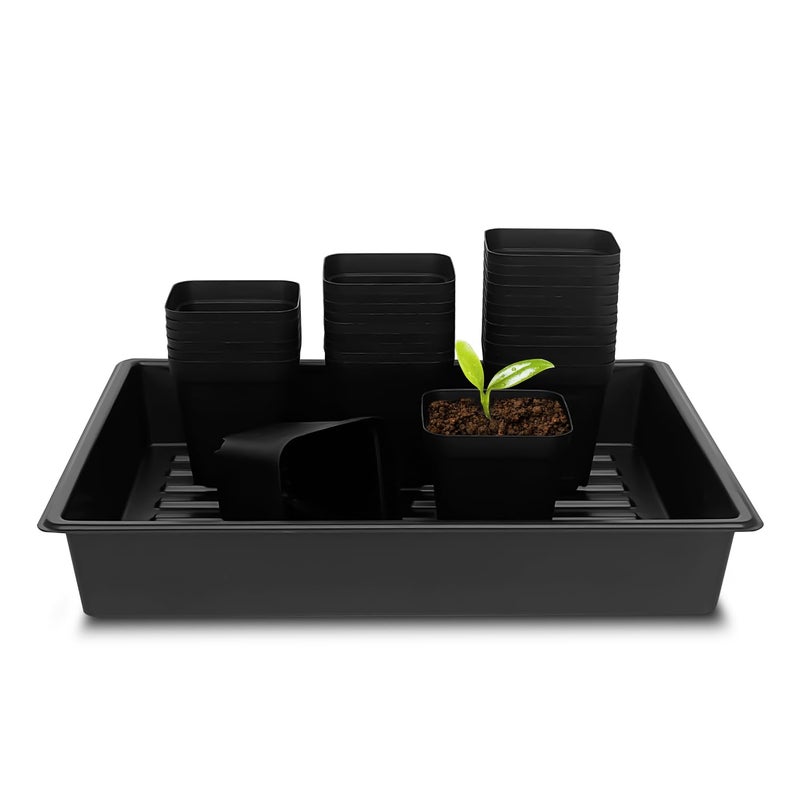 RooTrimmer 4 inch (10CM) Square Nursery Pots 60pcs, Sturdy Seedlings Trays 5 Pcs, Seeds Starter Germination Tray, Microgreening Planter Nursery Propagation 5 Sets - Image 1