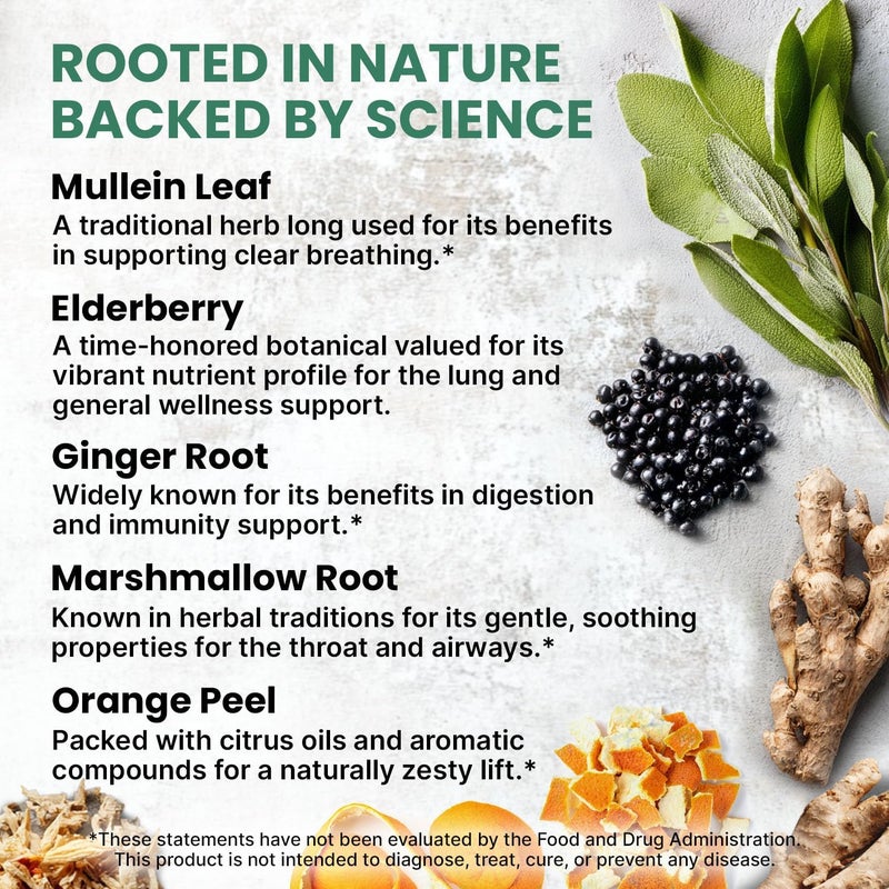 PrimeMD 5in1 Mullein Drops for Lungs and Bronchial  Respiratory Lung Health Support with Mullen Leaf Extract for lungs  Mullein Tincture with Elderberry Marshmallow Ginger Root 60 Servings 2pack - Image 3