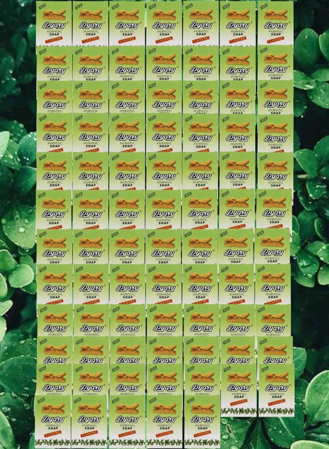 بياري 82 قطع صابون آيورفيدي كركم