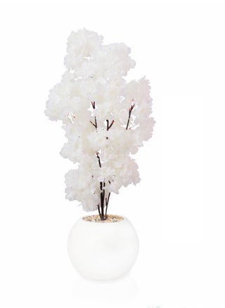 white8