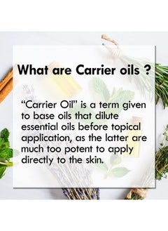 Deve Herbes زيت بابتشي (باكوتشي) النقي (Psoralea Corylifolia) الطبيعي المعصور على البارد بدرجة علاجية 30 مل  - Image 5