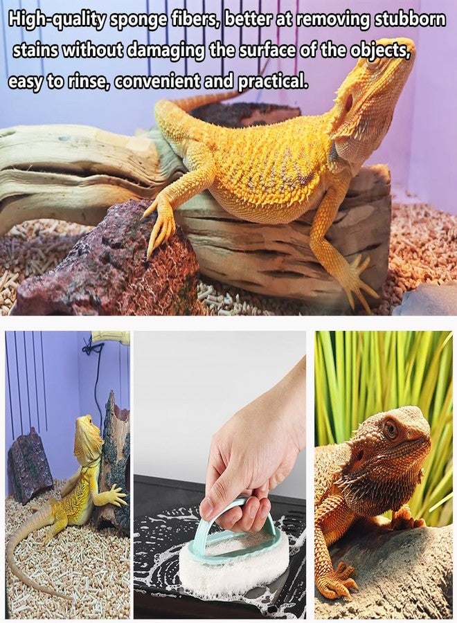 Delllala 6-Piece Bearded Dragon Tank Cleaning Set, Reptile Enclosure Cleaning Tool Set with Bearded Dragon Nail Clippers&Cleaning Cloth, Brush, Scraper & Mini Dustpan for Lizard & Gecko Terrarium Maintenance - Image 3