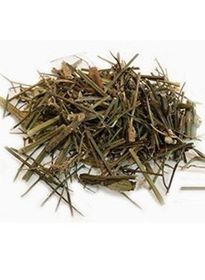 Pmw - Chirata Stick - Chirata - Chirayta - Bitterstick - Indian Gentian - Swertia Chirayita - 100 Grams - Image 3