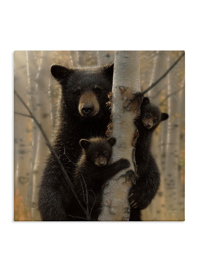 Stupell Industries Black Bear and Cubs Soft Birch Tree Forest, Design by Collin Bogle Canvas Wall Art, 17x17, Brown - Image 1