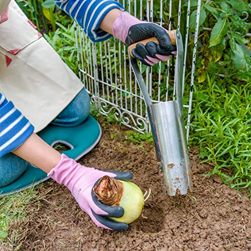Berry&Bird Garden Bulb Planter with 6 inches Depth Mark, Garden Bulb Transplanter Tool with Wooden Handle, Stainless Steel Soil Release Tool for Transplanting Digging Planting Flowers - Image 2