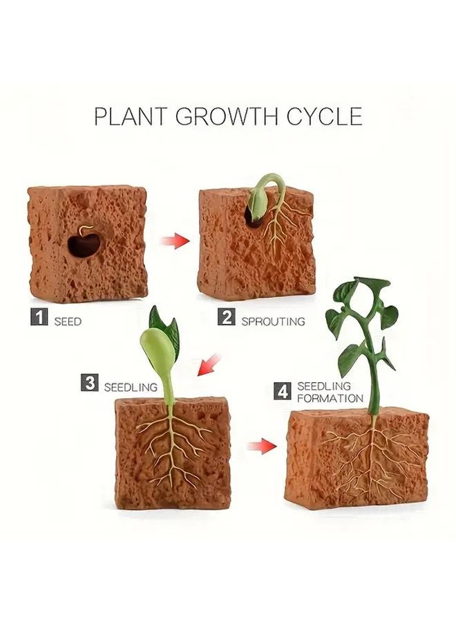 Growth Life Cycle Plant Model 2448 Insect Toys Bee Butterfly Mantis Kindergarten Teaching Aid - Image 1