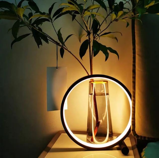 Prakal LED Floor Lamp for Living Room Modern Ring Lamp Unique Remote Control Standing Dimmable Stand Light for Bedroom Reading Office Home Black - Image 2
