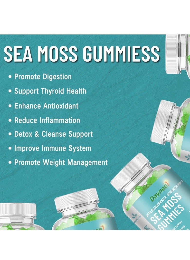 ديني الأعشاب البحرية العضوية مضغ العلكة فقدان الوزن الغدة الدرقية الصحة حصانة عالية لدعم إزالة السموم والتنظيف - Image 4