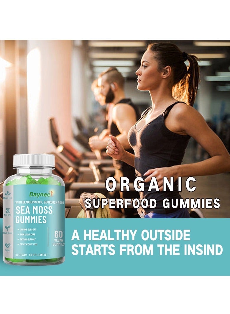 ديني الأعشاب البحرية العضوية مضغ العلكة فقدان الوزن الغدة الدرقية الصحة حصانة عالية لدعم إزالة السموم والتنظيف - Image 5