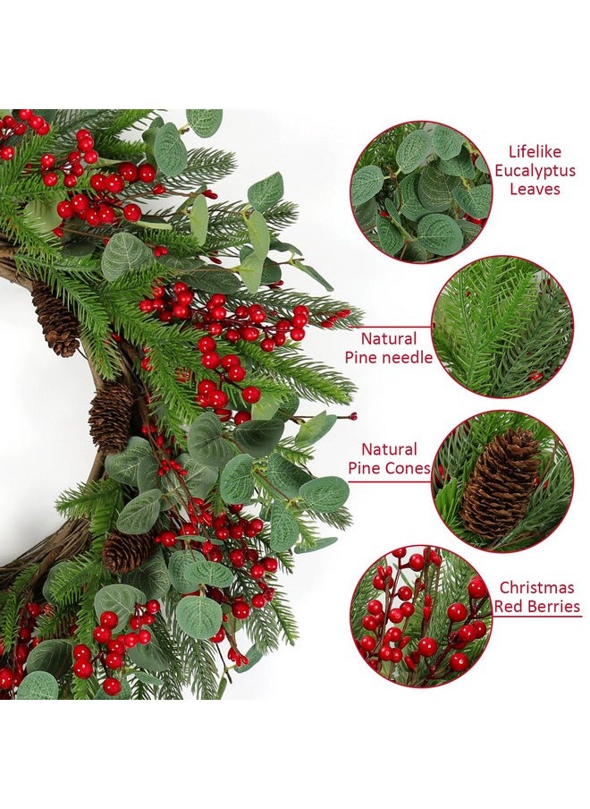 Dremisland 24 Inch Artificial Christmas Wreath for Front Door Large Christmas Wreath with Red Berry Real Touch Pine Cones Winter Wreath Front Door Christmas Decorations Window Home Holiday Xmas Decor - pzsku/Z95BA055F8C2C41FE5218Z/45/_/1740982584/4765dd54-5e6b-434d-9c02-0670b6b15c22