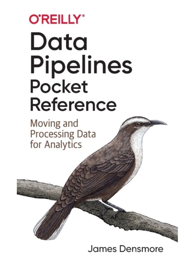 Data Pipelines Pocket Reference Moving and Processing Data for Analytics - Paperback