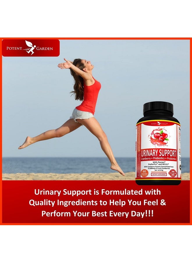 Potent Garden Urinary Support Supplements For Bladder Urinary Tract Health For Women & Men Daily Care Womens Probiotic Prebiotics & Cranberry Pacran Preforpro De111 And Cranberry Capsules 60 Ct  - Image 5