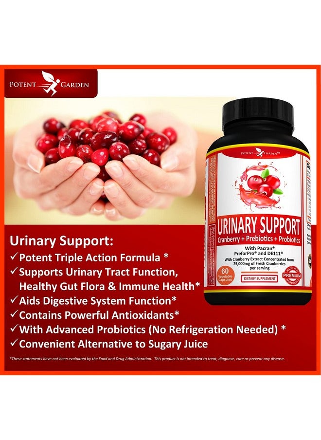 Potent Garden Urinary Support Supplements For Bladder Urinary Tract Health For Women & Men Daily Care Womens Probiotic Prebiotics & Cranberry Pacran Preforpro De111 And Cranberry Capsules 60 Ct  - Image 4