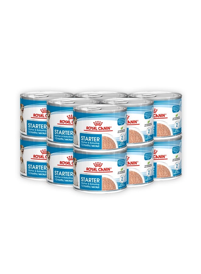 رويال كانين طعام رطب موس البادئ - 195 جرام (عبوة من 12 قطعة) - Image 1