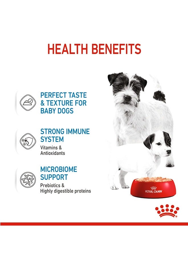 رويال كانين طعام رطب موس البادئ - 195 جرام (عبوة من 12 قطعة) - Image 3