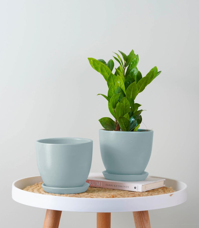 Nurturing Green® Set of 2 Modern Mint Green Ceramic Pots for Indoor Plants | Flower Pots for Home Decor(Size: 5 Inch Wide | Comes with Bottom Plate) - [Plants are not Included] - Image 1