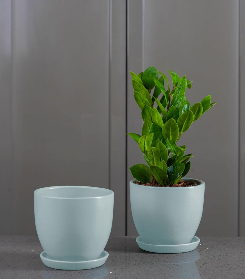 Nurturing Green® Set of 2 Modern Mint Green Ceramic Pots for Indoor Plants | Flower Pots for Home Decor(Size: 5 Inch Wide | Comes with Bottom Plate) - [Plants are not Included] - Image 2