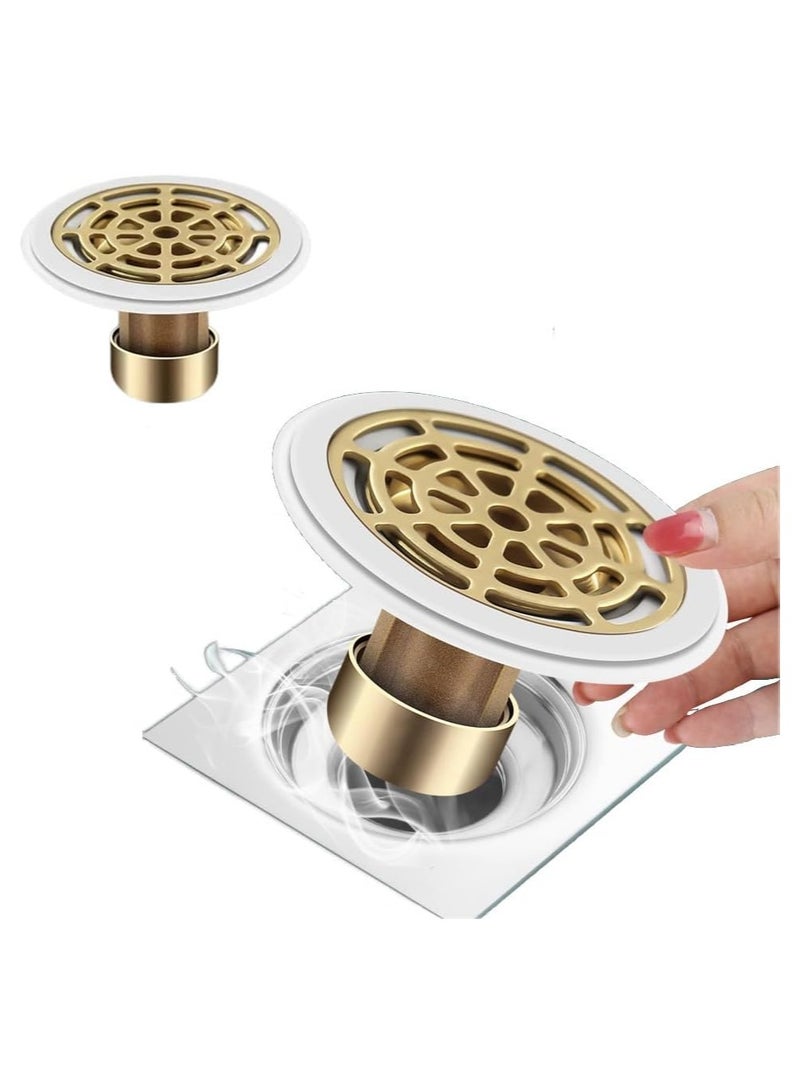Drain Defense Kit - 2 Piece Odor Resistant Floor Drain with Removable Filter Cover |Shower Drain Hair Catcher |Prevents Plumbing Clogs |Ideal for Drain Pipes ≥ 1.3’ Diameter - Image 1