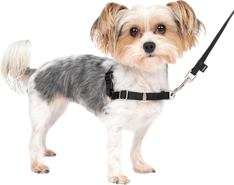 PetSafe Easy Walk No-Pull Dog Harness - Petite/Small, Black/Silver - Image 1