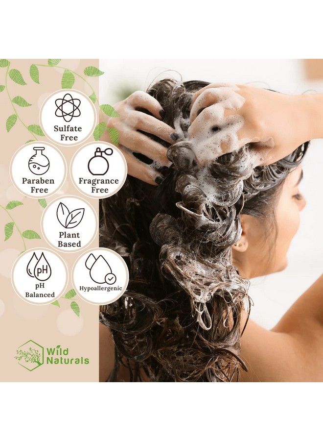 Wild Naturals Sulfate Free Shampoo With Manuka Honey Moisturizing Shampoo For Dry Hair Clarifying Shampoo For Color Treated Hair Curly Hair Dry Hair Dry And Itchy Scalp Dandruff Shampoo For Women And Men  - Image 5