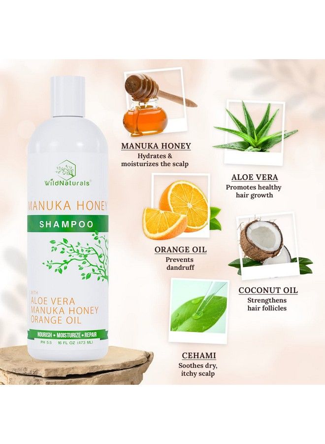 Wild Naturals Sulfate Free Shampoo With Manuka Honey Moisturizing Shampoo For Dry Hair Clarifying Shampoo For Color Treated Hair Curly Hair Dry Hair Dry And Itchy Scalp Dandruff Shampoo For Women And Men  - Image 4