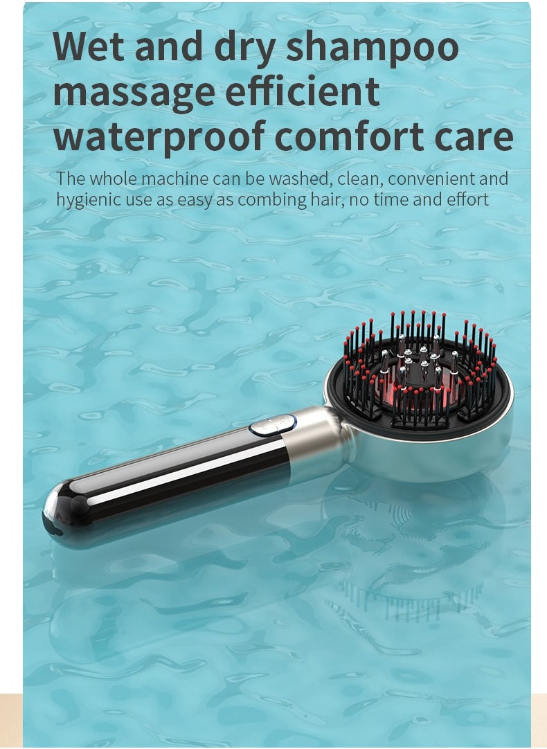 Laseta - LASETA Scalp Massager Comb,  Electric Hair Growth Comb, for Men and Women Hair Loss, for Evenly Spread Hair Care Essential Oils on the Scalp, Suitable for Daily Hair Care for Hair Loss,silver - Image 1