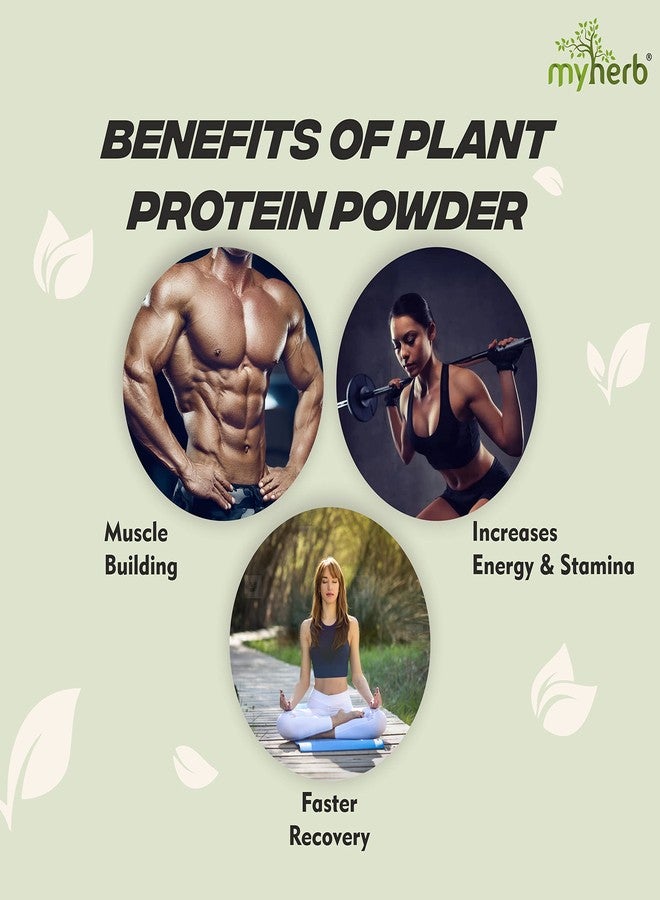 MYHERB Plant Protein Powder | Pea And Brown Rice Protein Powder | Vegan High Protein Powder | 27 gm Protien,21 Vital,6 gm BCCAs |Sugar Free|For Men,Women (500 g (Pack of 1), Chocolate) - Image 3