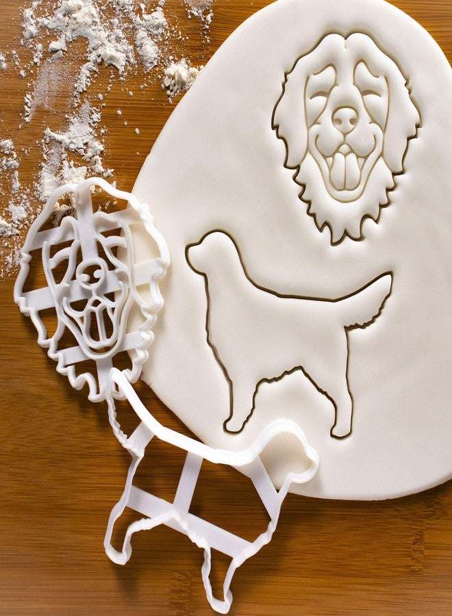 Bakerlogy مجموعة من قطعتين لتقطيع البسكويت على شكل كلب جولدن ريتريفر (تصميم: وجه وجسم) - بيكرولوجي - Image 2
