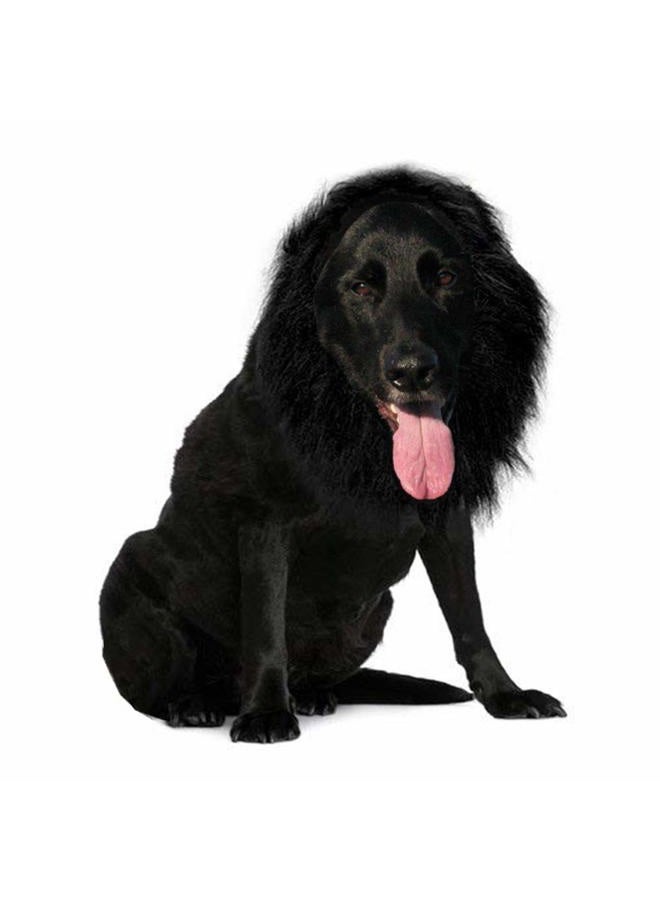qiaoniuniu Funny Dog Costume, Lion Mane Wig for Dog Halloween Christmas Dress Up (Color: Black, Size: Large) - Image 1