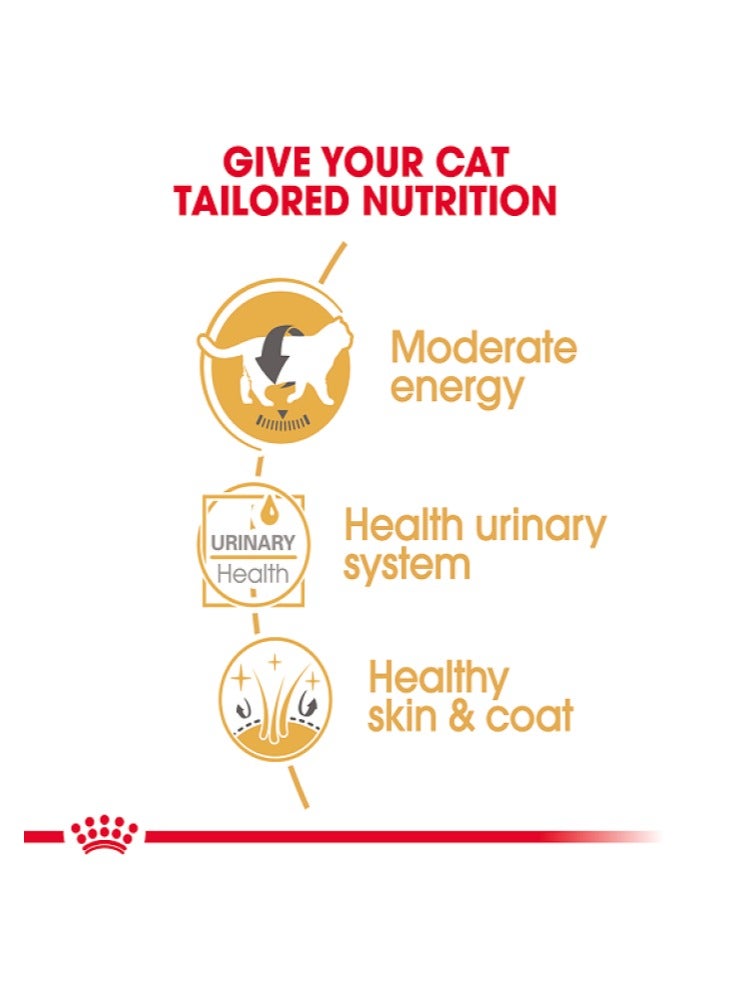 رويال كانين طعام رويال كانين للقطط البريطانية قصيرة الشعر (طعام رطب - أكياس) 12 × 85 جم - Image 5