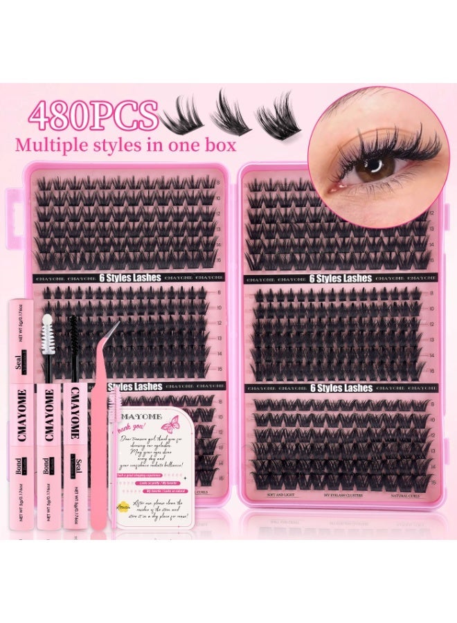 CMAYOME 480 pcs False Eyelash With Glue Kit, 6-Style Large Capacity DIY Individual Lash Extension Collection, 8-16 mm False Lash Cluster Set Including Lash Brush, Tweezers And Lash Bond and Seal, Suitable For Beginners. - Image 2