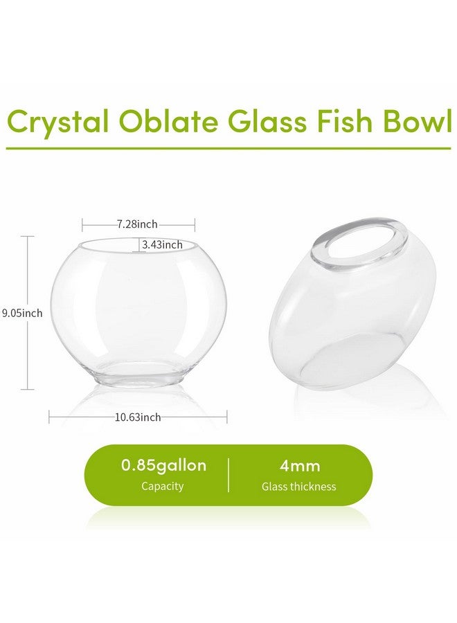 هايغر مجموعة حوض سمك زجاجي مفلطح صغير من هيغر، حوض سمك صغير يأتي مع أحجار ديكور حوض سمك زرقاء وزينة شجرة على شكل فرع مروحة بلاستيكية - Image 4