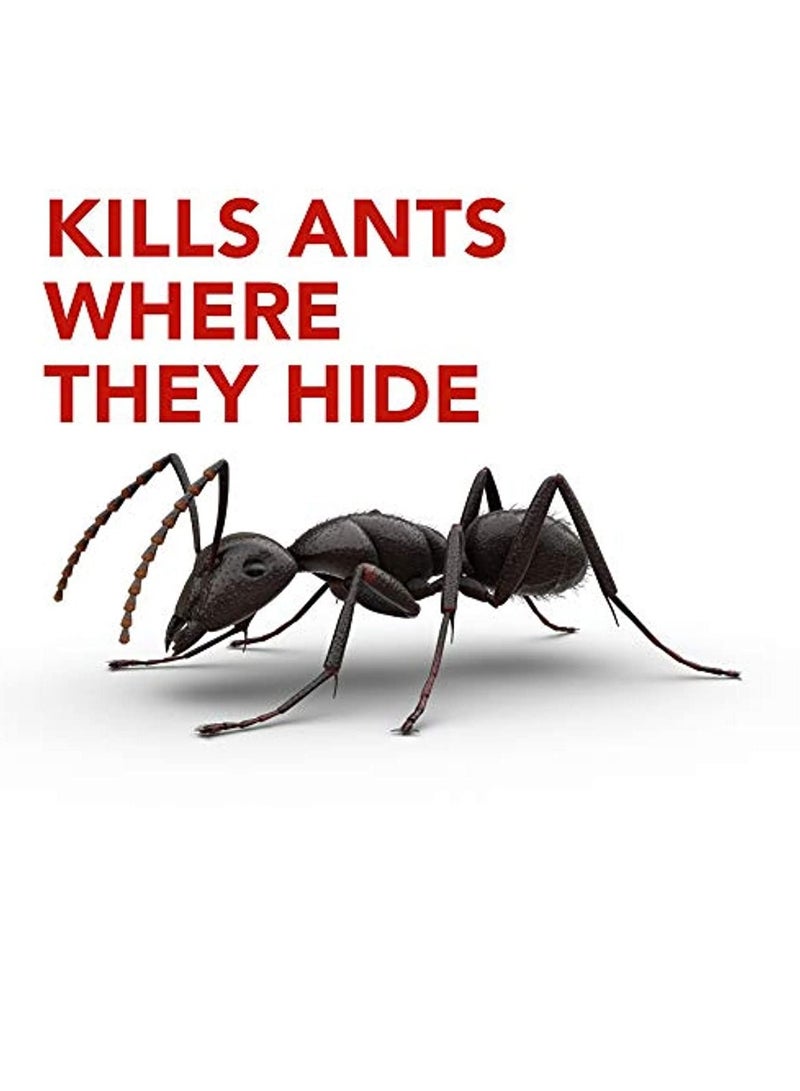 RAID Ant Killer Baits - Image 3